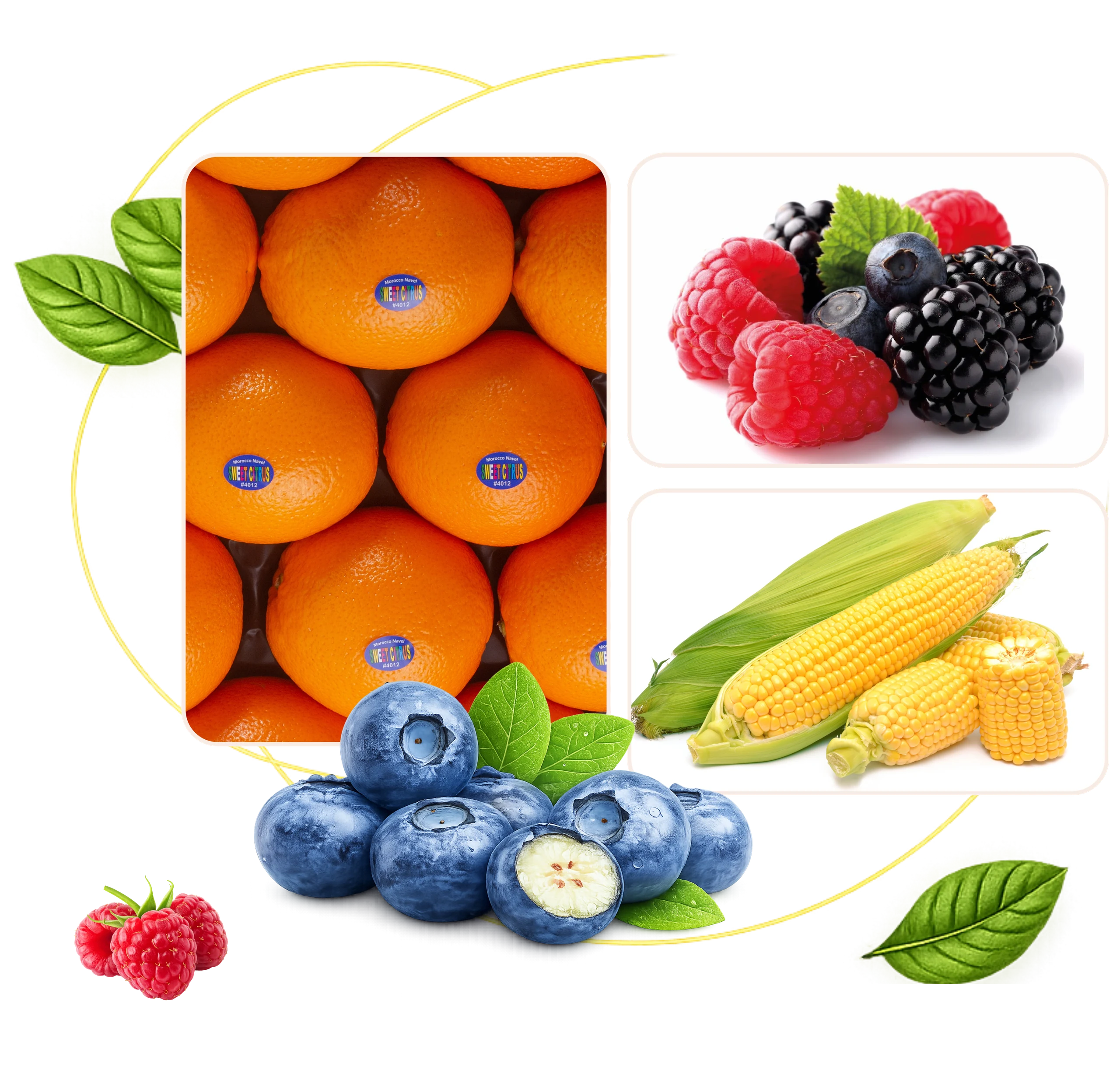 VitaSouss fresh produce — oranges, berries and sweet corn
