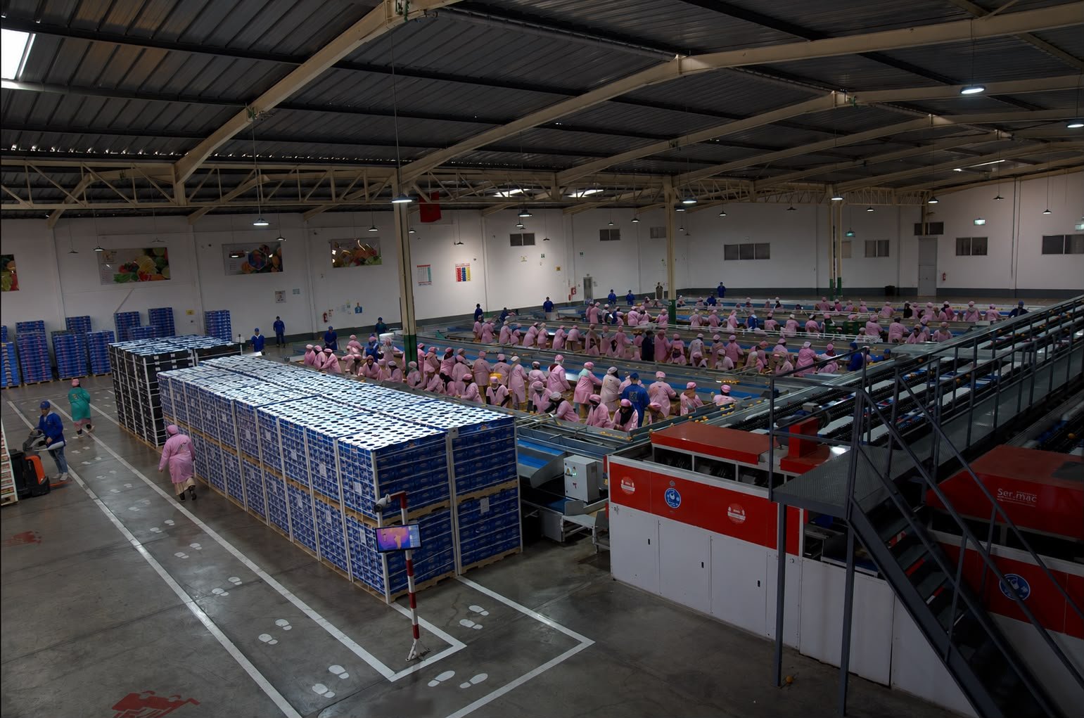 Diaf packhouse