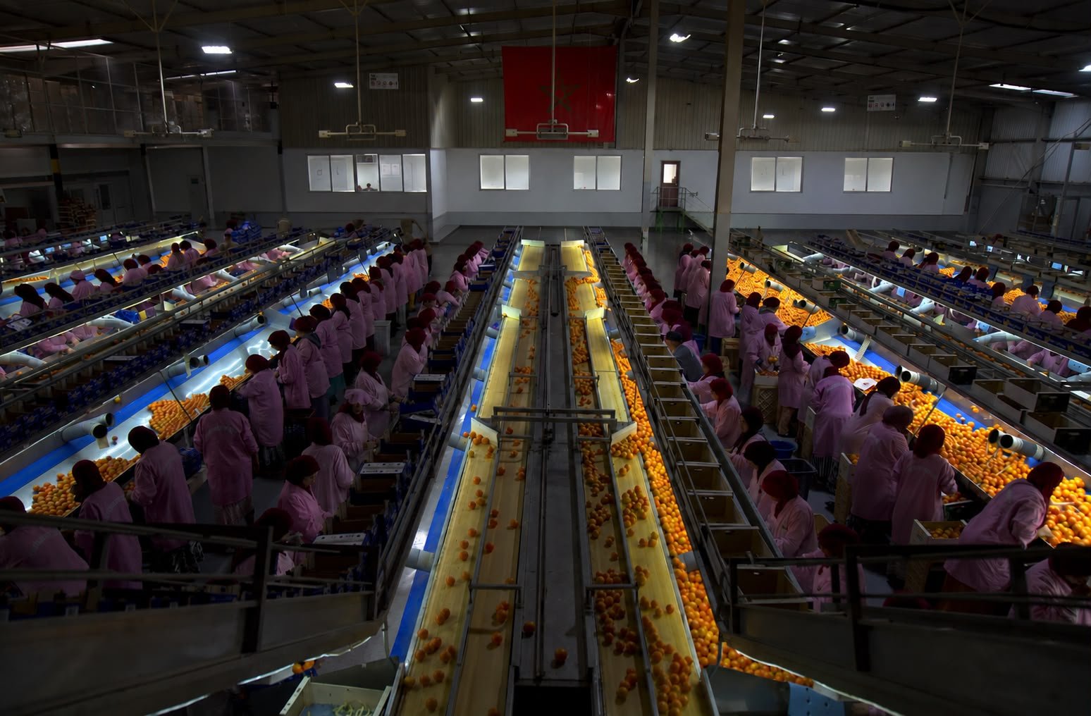 Zaouia packhouse