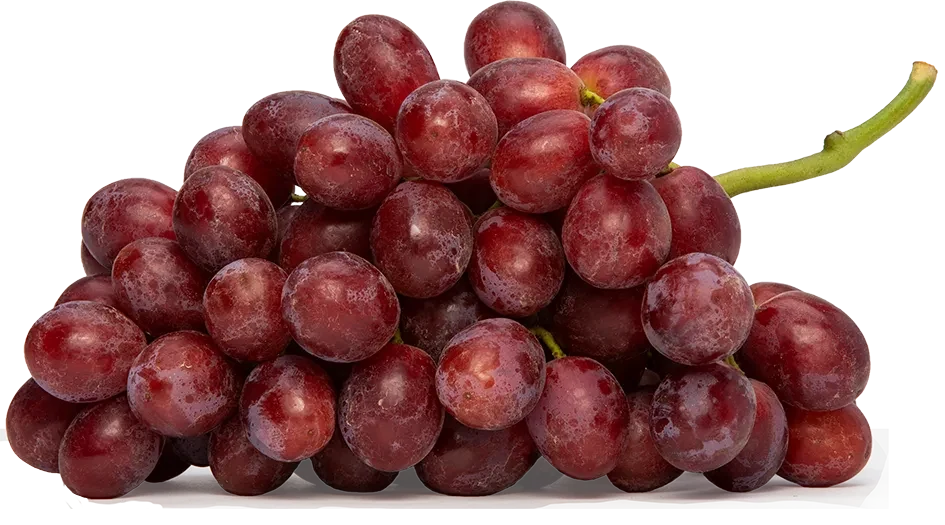 Red Grapes