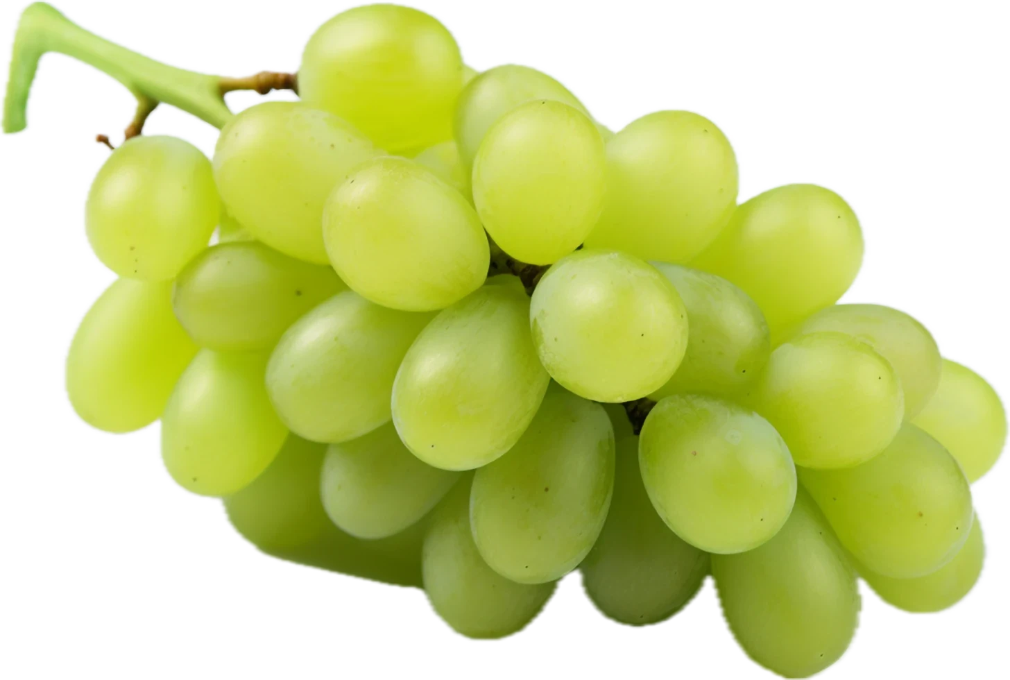 White Grapes